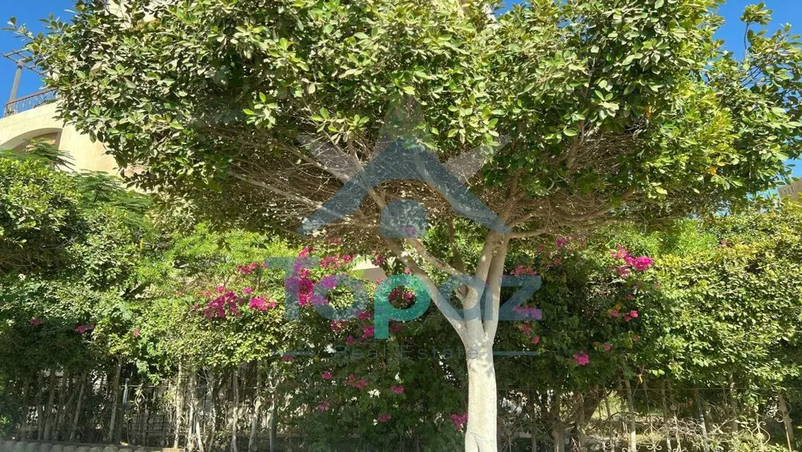 Apartment with Garden  for rent at Beverly hills