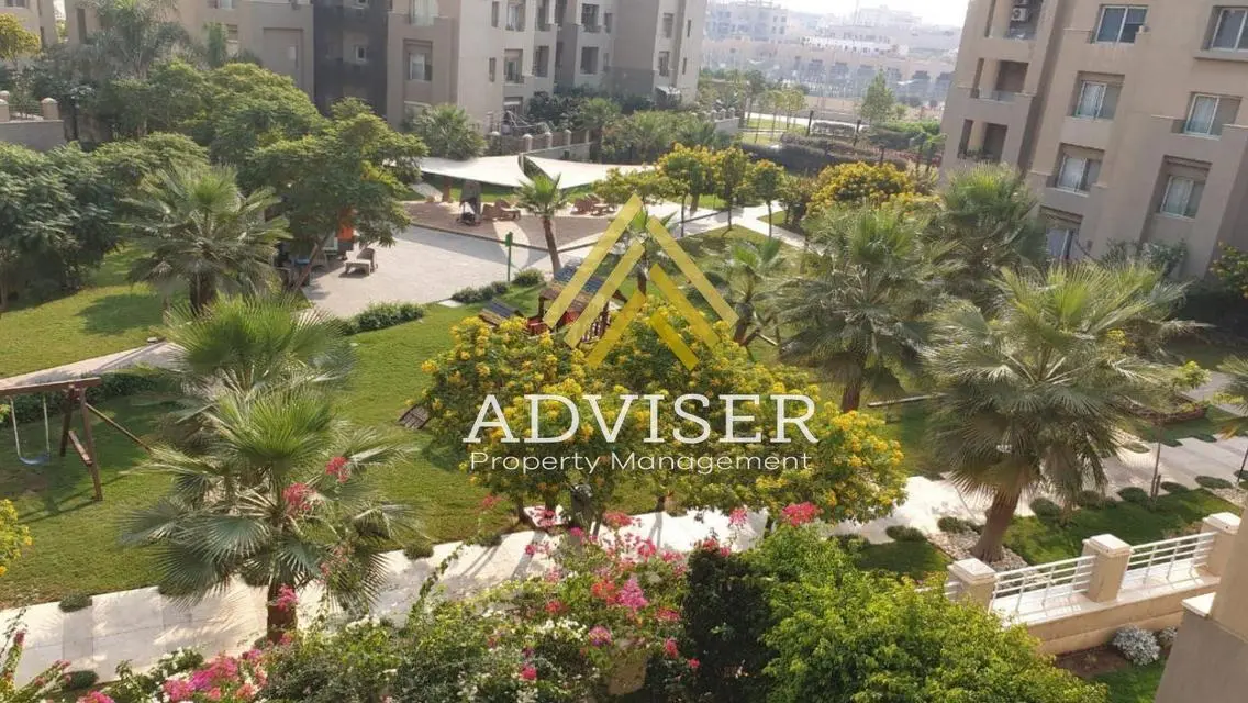 Furnished Apartment For Rent View AUC Directly