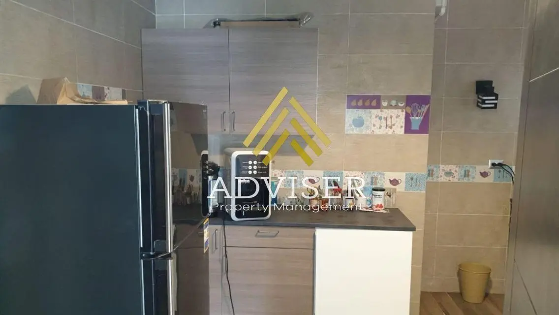 Furnished Apartment For Rent View AUC Directly