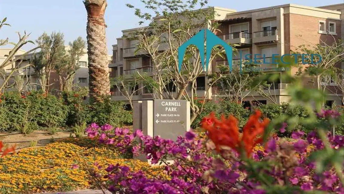 ٍستوديو للبيع في جاسبر وودز نيو جيزة