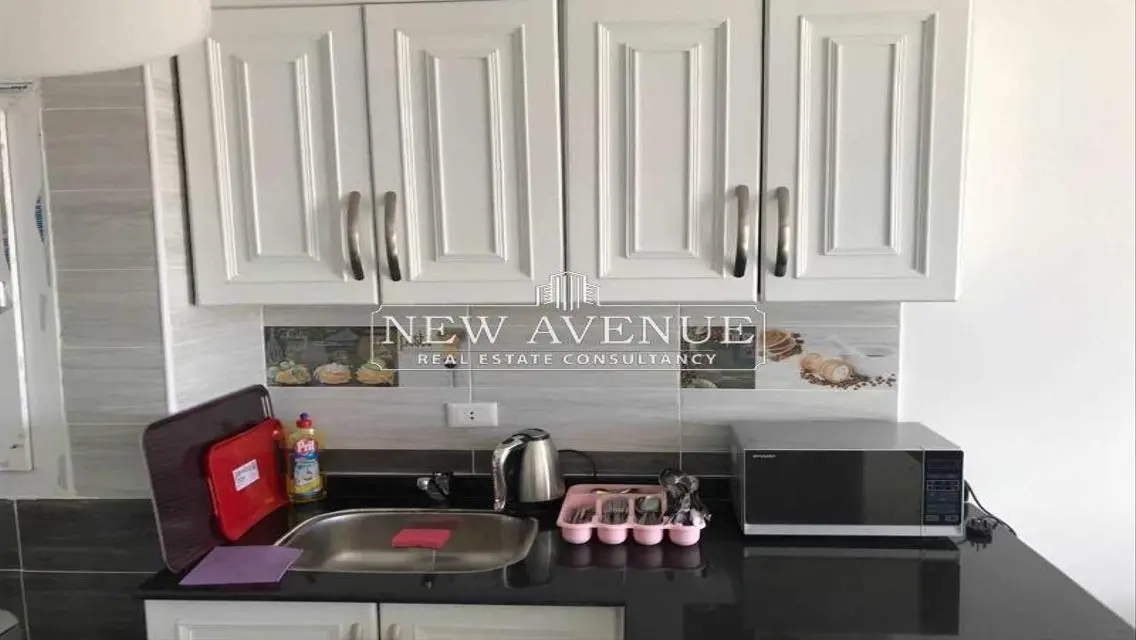 Fully Furnished Penthouse at Mountain view