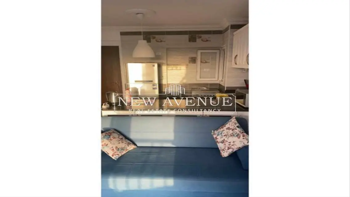 Fully Furnished Penthouse at Mountain view