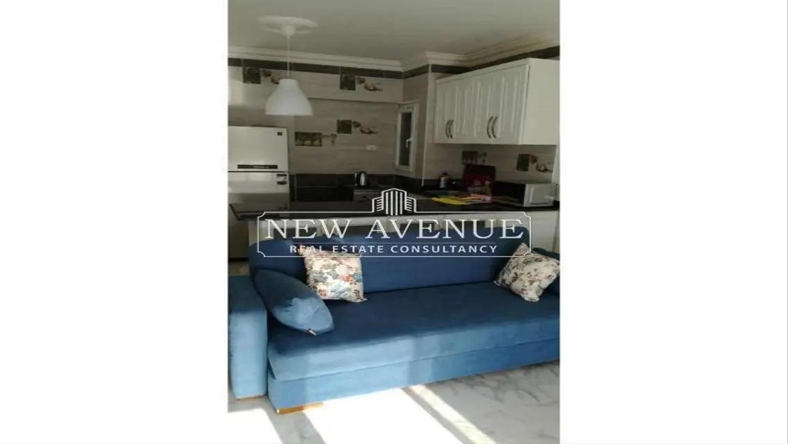 Fully Furnished Penthouse at Mountain view