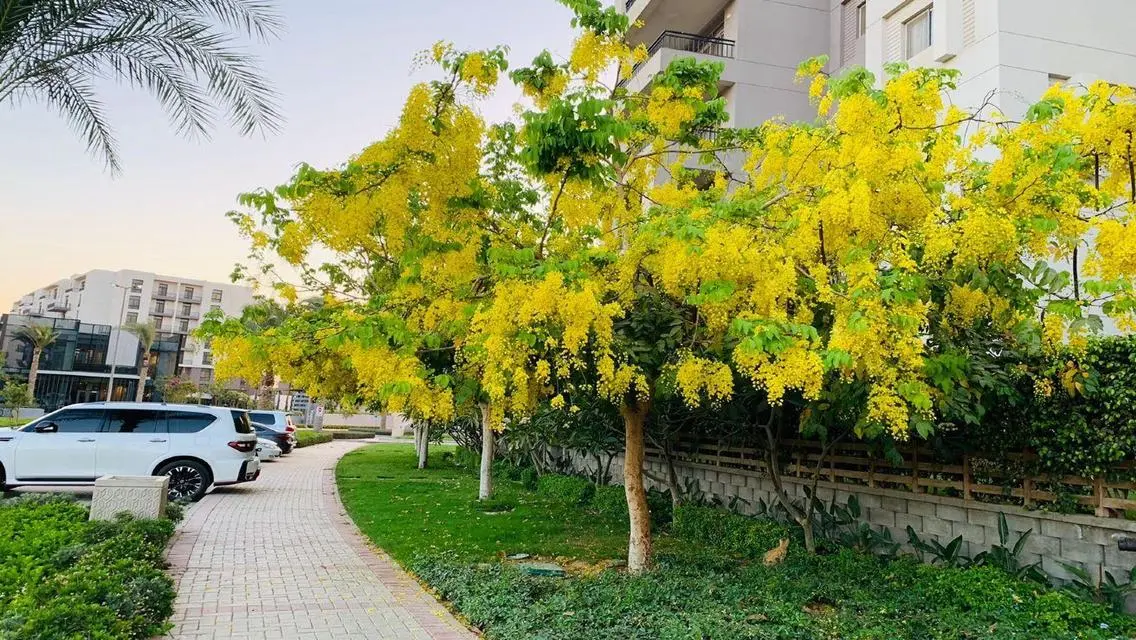 For Rent 150m - Prime Location -kitchen &amp; Ac&#39;s