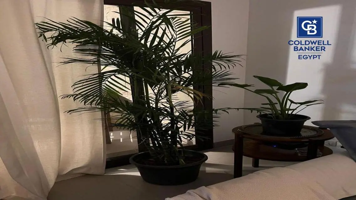 شاليه أرضي موقع متميز للإيجار في مراسي