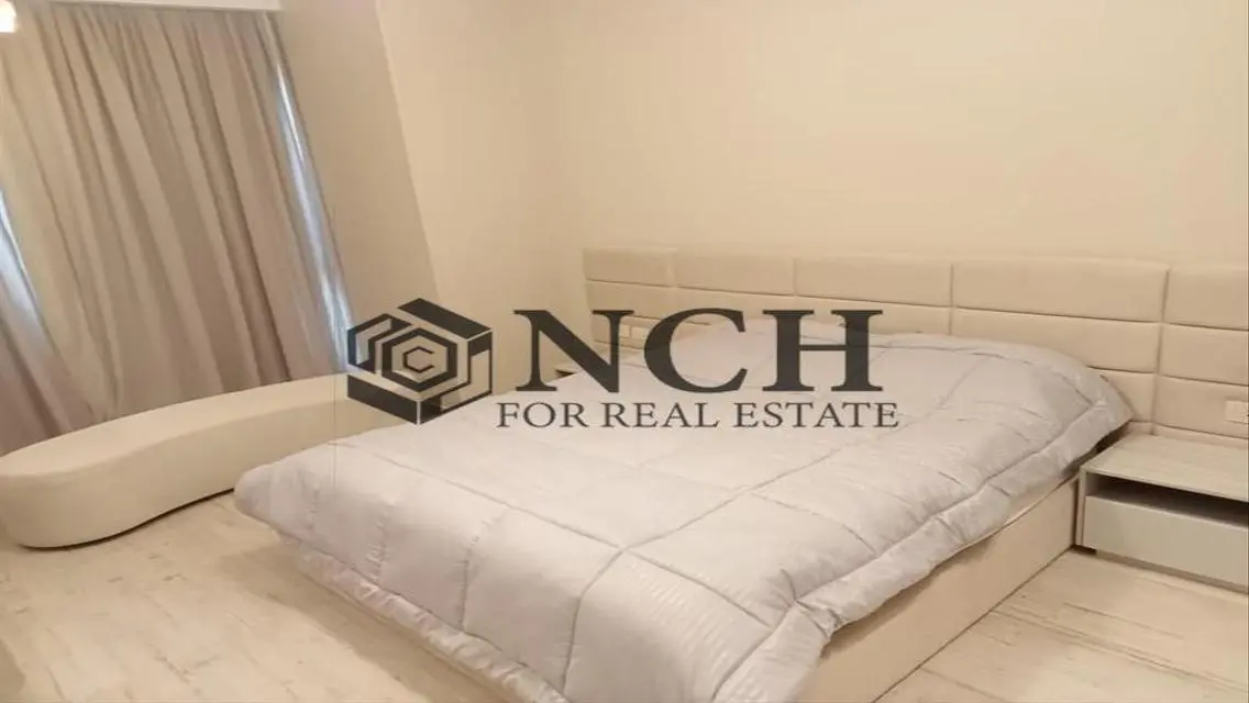 LUXURY APT WITH MODERN FURNITURE, SODIC-VILLETTE