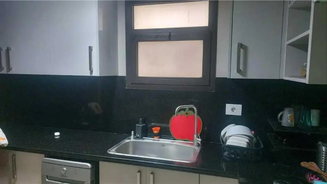 Furnished Apartment 225m Open View Eastown