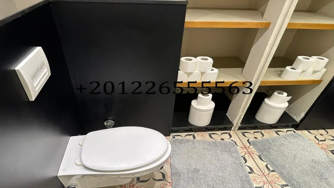 Modern Duplex with Terrace For Rent in Degla Maadi