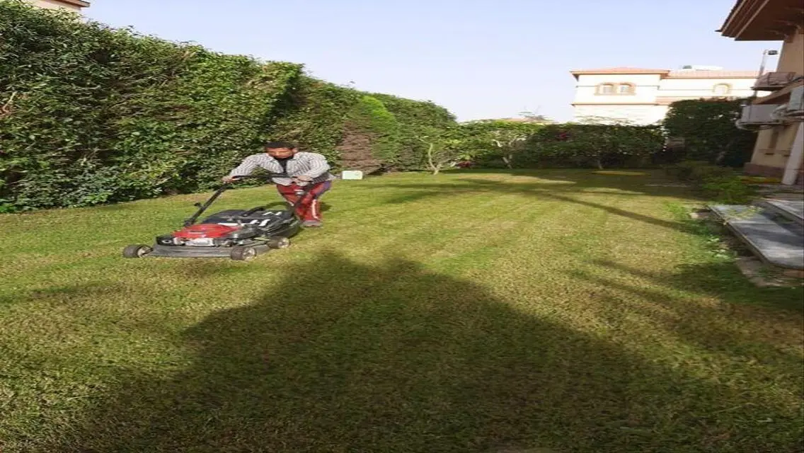 The largest model villa for rent in the best stage