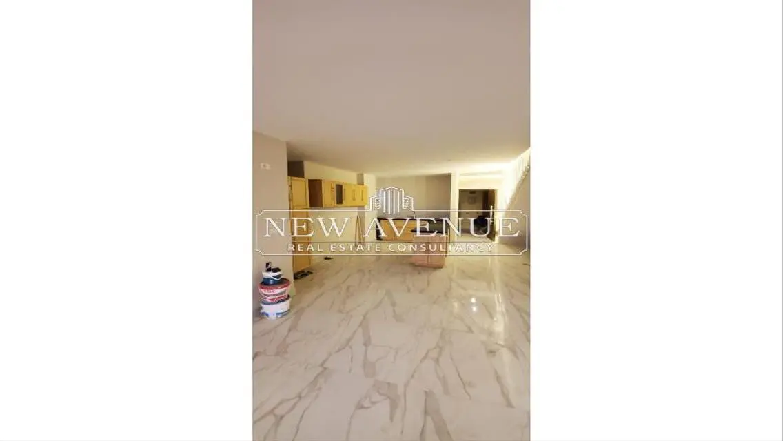 Delivered Fully Finished Duplex in Lotus New Cairo