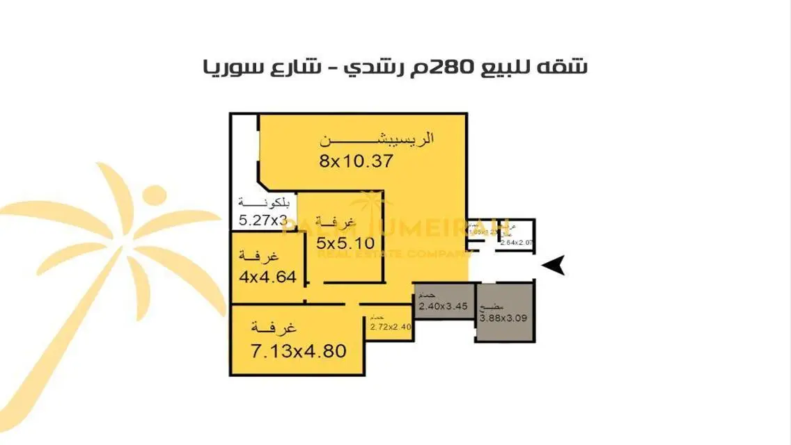 شقة للبيع بالفرش 280 م رشدي (شارع سوريا) فيو البحر