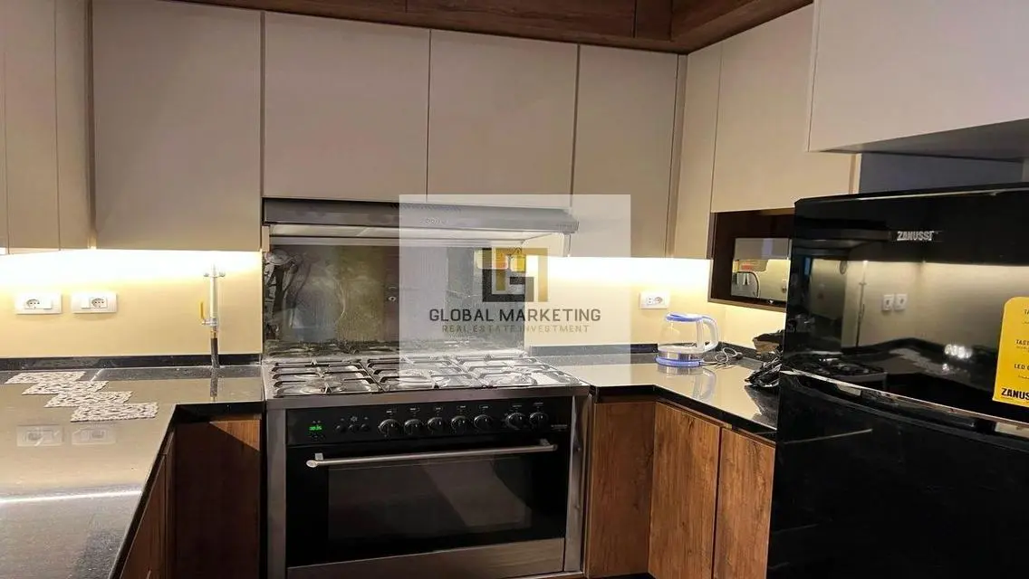 First use modern furnished apartment for rent
