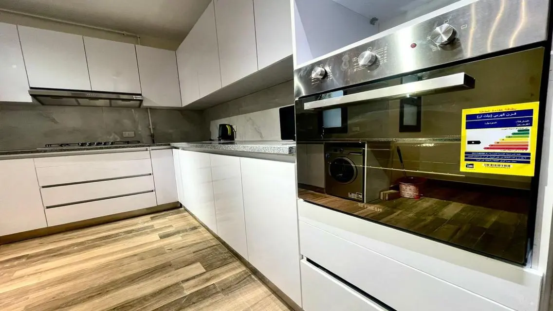 Super Lux Duplex Furnished for Rent in Eastown