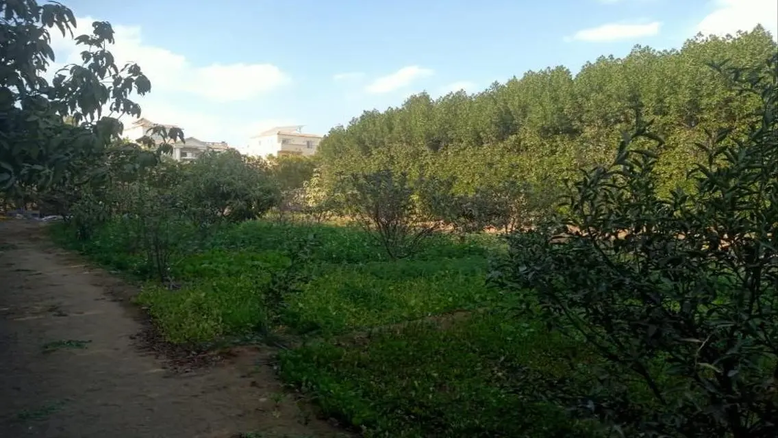 فيلا فاخره بحمام سباحه بموقع متميز فى غرب سوميد