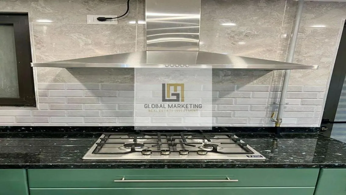 Modern furnished apartment for rent in Lake View