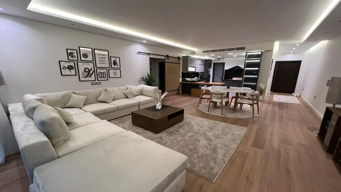 Apartment for rent modern modern furniture