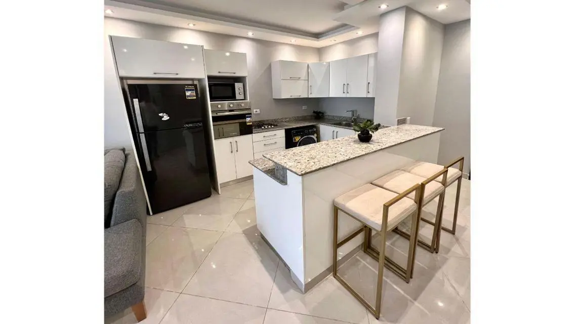 MODERN Furnished Apartment for rent in EASTOWN