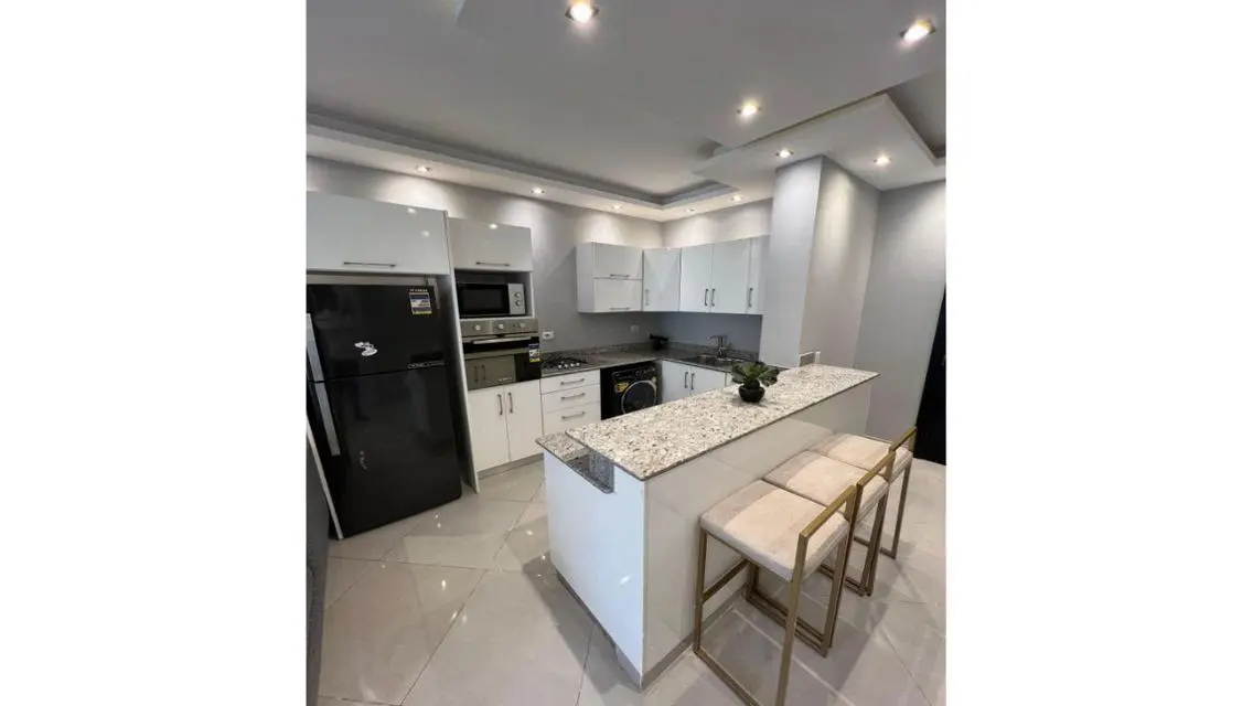 MODERN Furnished Apartment for rent in EASTOWN