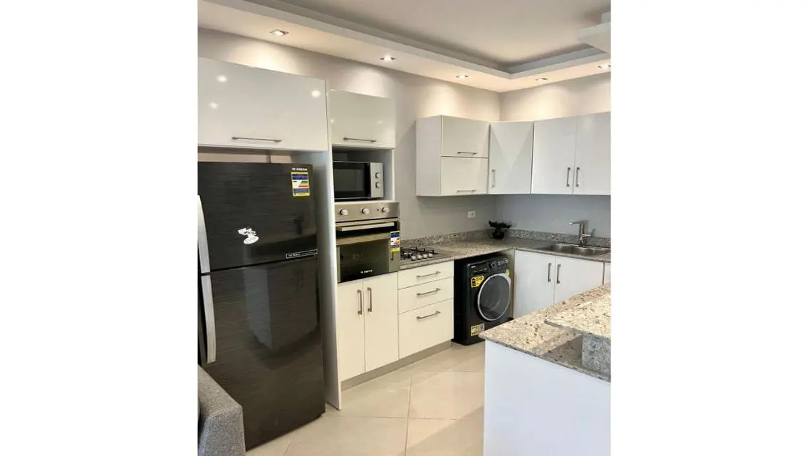 MODERN Furnished Apartment for rent in EASTOWN