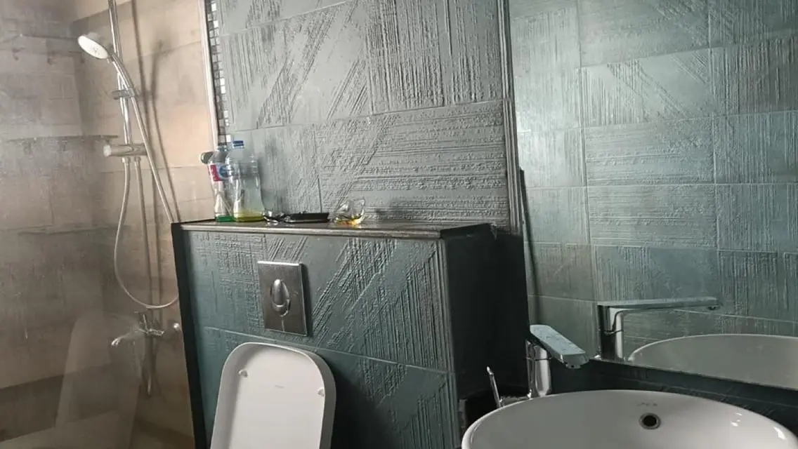 Apartment 210 m for rent super deluxe in Eastown 