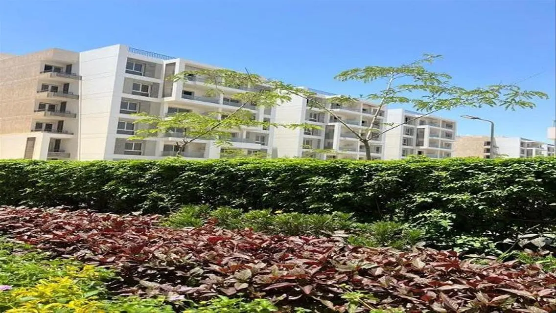 Apartment 3bed Ready To Move+Showing Over 8 Years