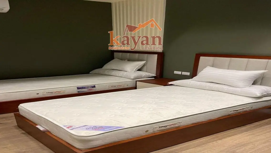 Fully furnished apartment for rent in Lake View