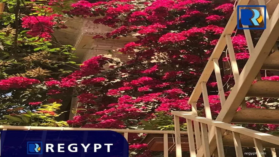 Villa For Sale In Sarayat El Maadi
