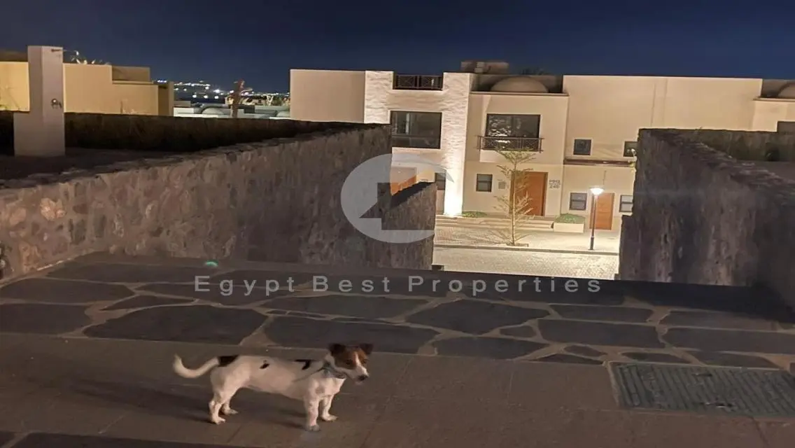 آخر 5 توين هاوس بالسعر القديم في مكادي هايتس