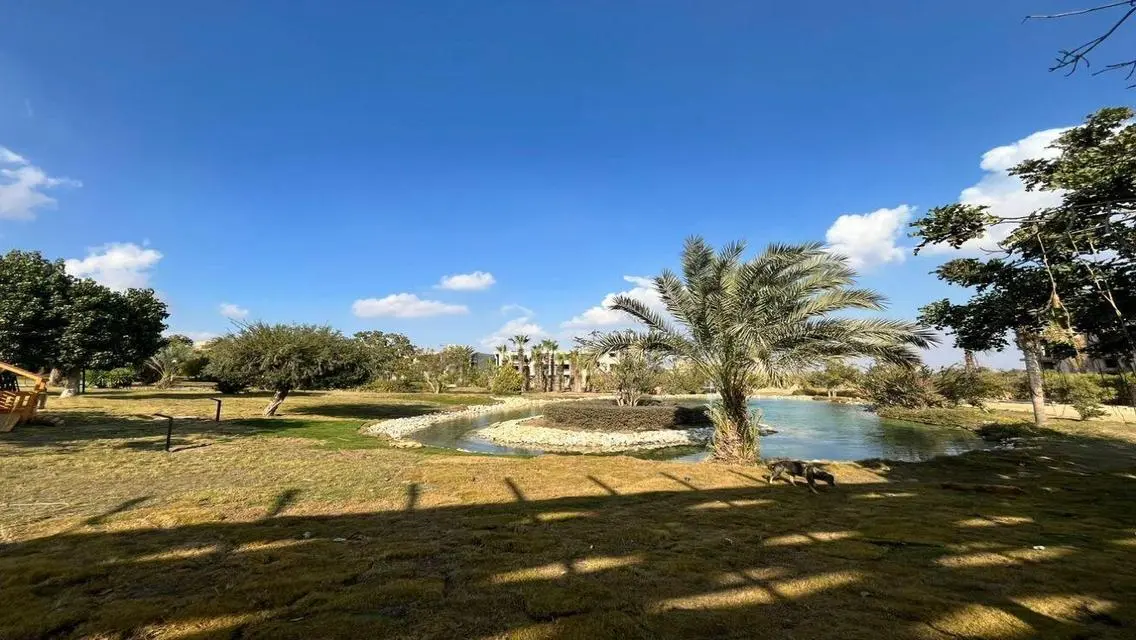 Own a villa at the best price in Zayed, near Rabwa