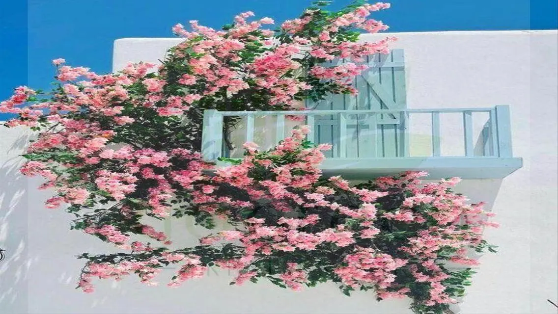 With 1,5%D.P own finished garden duplex+ACS, Plage